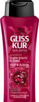 Schwarzkopf Gliss Kur Shampoo color & glanz, 250ml Flasche (250 ml, Flüssiges Shampoo)