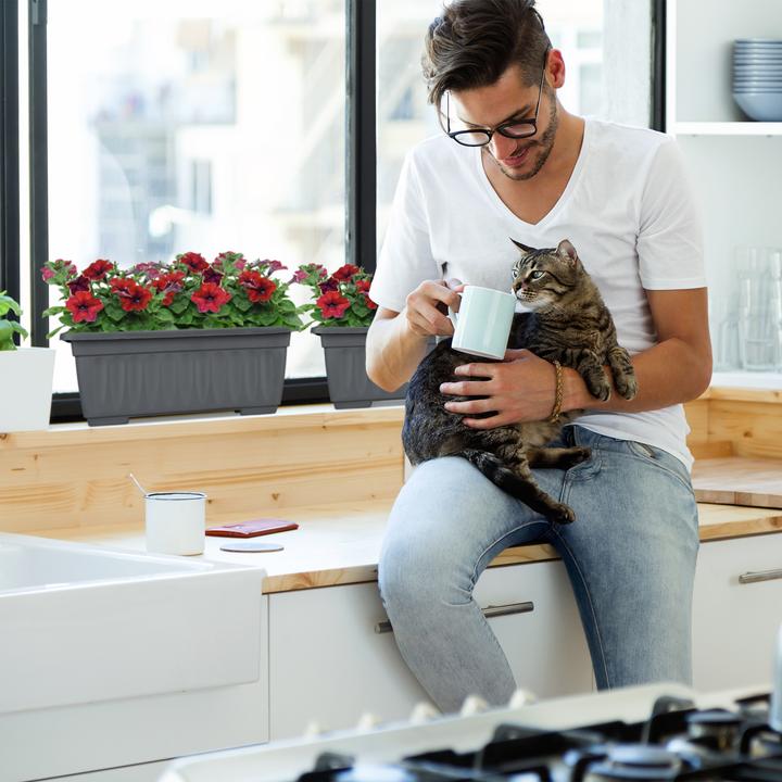Produktbild Relaxdays Blumenkasten (34 cm)