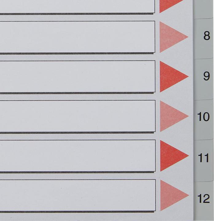 Actual product image Esselte Plastic register