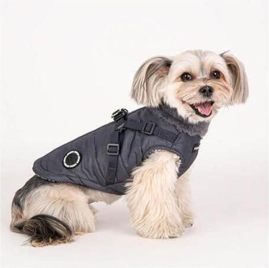 Produktbild Puppia Donavan (S, Hundemantel)