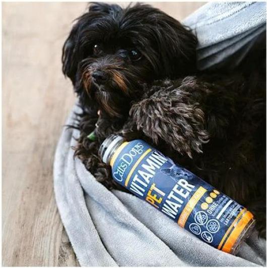 Produktbild Cats Dogs Vitamin Water (Senior, 6 Stk., 3000 g)
