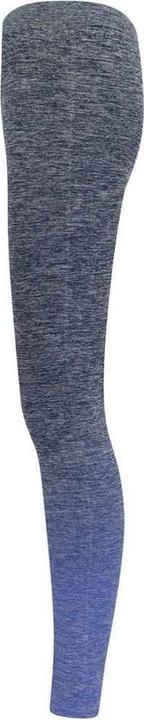 Actual product image Tombo Womens/Ladies Seamless Fade Out Leggings (XL)