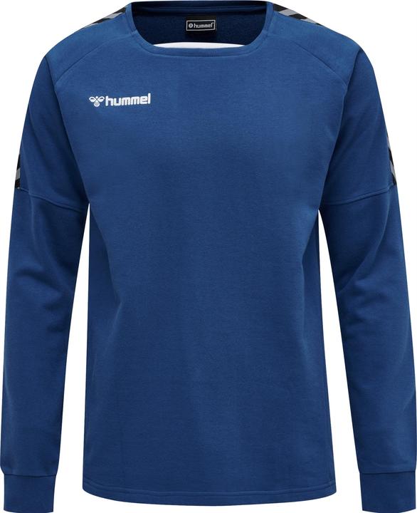 Image du produit hummel Sweat D'Entraînement Authentique (XL)