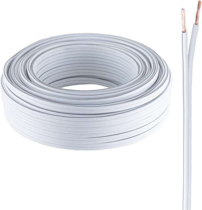 Actual product image Shiverpeaks SHVP BS06-211006 - loudspeaker cable 2.5 mm² 5 CCA ws 100 m (100 m)