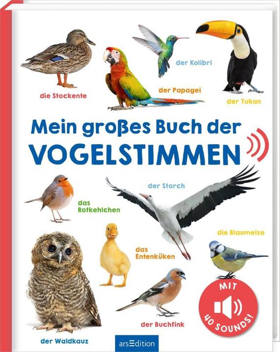 Actual product image Mein grosses Buch der Vogelstimmen (German, 2024)