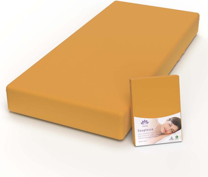 Produktbild Lotus Bettwaren Jersey Fixleintuch Souplesse (200 x 220 cm)