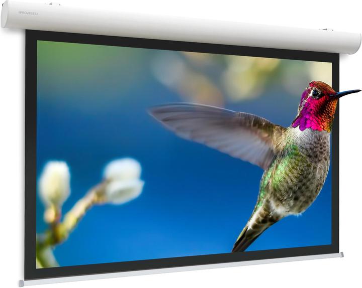 Actual product image Projecta Elpro Concept RF 216x340 MW 16:10 (153", 16:10)
