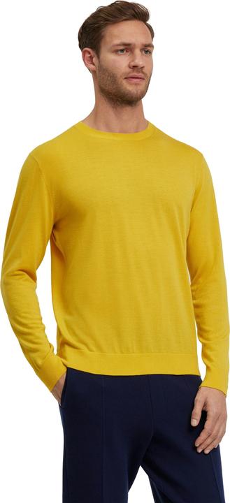 Image du produit Falke Pulls pour hommes (S)