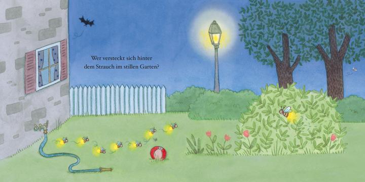 Actual product image Quietly through the night - A cardboard picture book with lots of flaps (German)