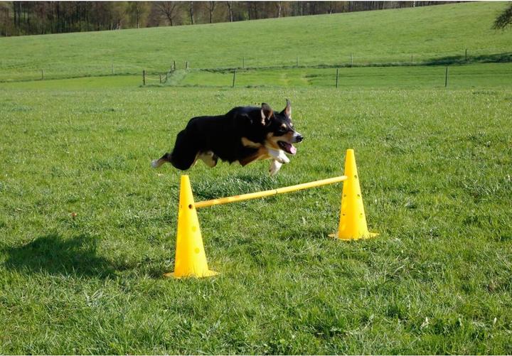 Actual product image Kerbl Agility Pylon Hurdles Set (One size, Agility)