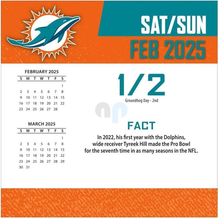 Energy Label NFL - Miami Dolphins - Desk Calendar 2025 (Spanish, Italian, English, German, French)