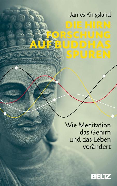 Produktbild Die Hirnforschung auf Buddhas Spuren (Deutsch, James Kingsland, 2017)