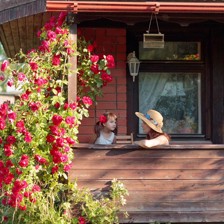 Produktbild Relaxdays Vogelfutterhaus
