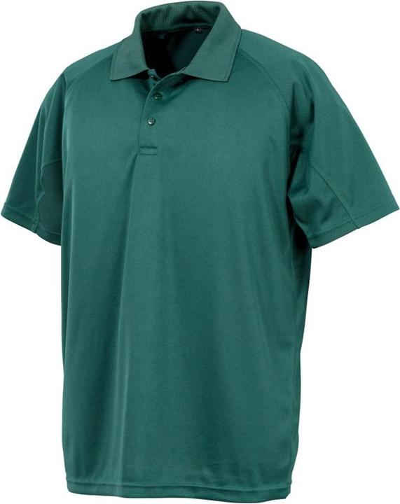 verde bottiglia