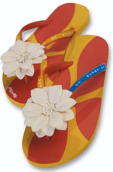 Image du produit Dymo Gaufreuse Omega