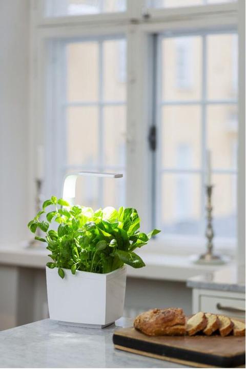Image du produit Tregren Pot à herbes T3 (19.50 cm)