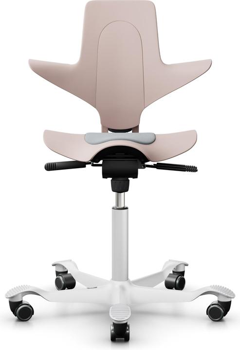 Produktbild HAG Capisco Puls 8010