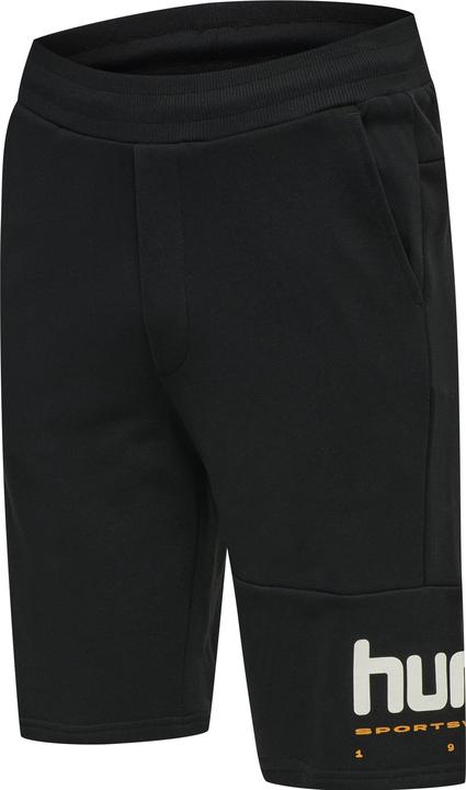 Actual product image hummel Lgc Manfred Shorts (XL)