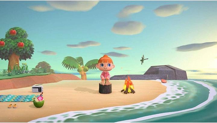 Actual product image Nintendo Animal Crossing: New Horizons (Switch, Multilingual)