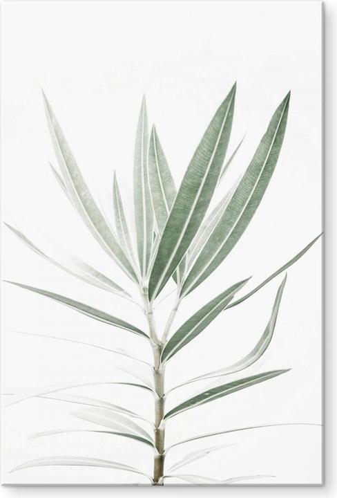Immagine prodotto Trenddeko oleandro (70 x 100 cm)