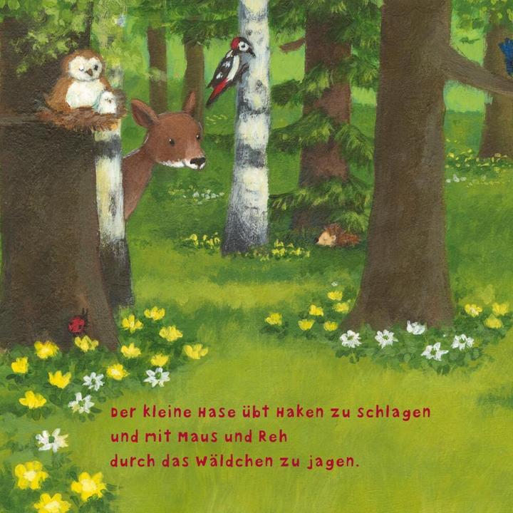 Produktbild Baby Pixi (unkaputtbar) 97: Der kleine Hase (Deutsch)