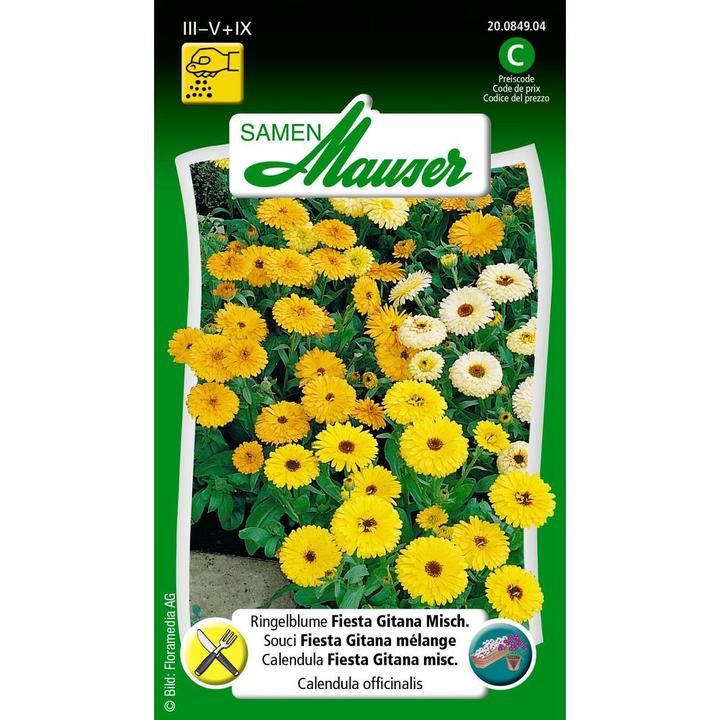 Actual product image Samen Mauser Marigold Fiesta Gitana Mix. (Plant seeds)