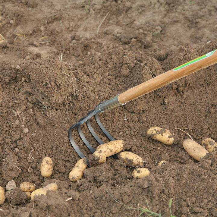 Productafbeelding Freund Victoria Hoe