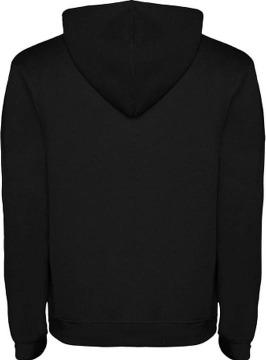 Image du produit Alpinia - Sweat à capuche URBAN - Homme (S)