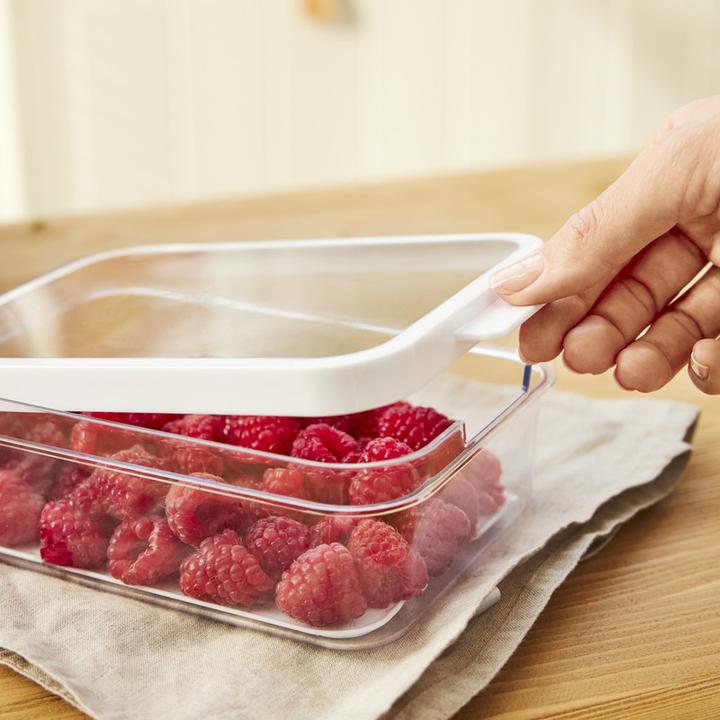 Produktbild Rotho Kühlschrankorganizer Cauma