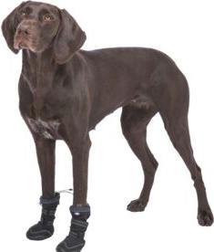 Actual product image Trixie Walker Active Long protective boots, L, 2 pcs, black (L, Dog boots)
