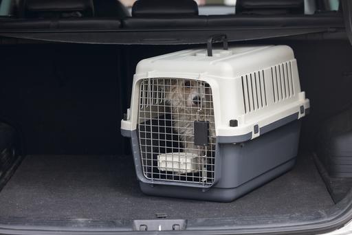 Produktbild Karlie Nomad (Hund, Katze, Abschliessbar)