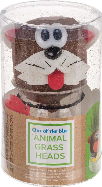 Actual product image Out of the blue Grass head in container Cat