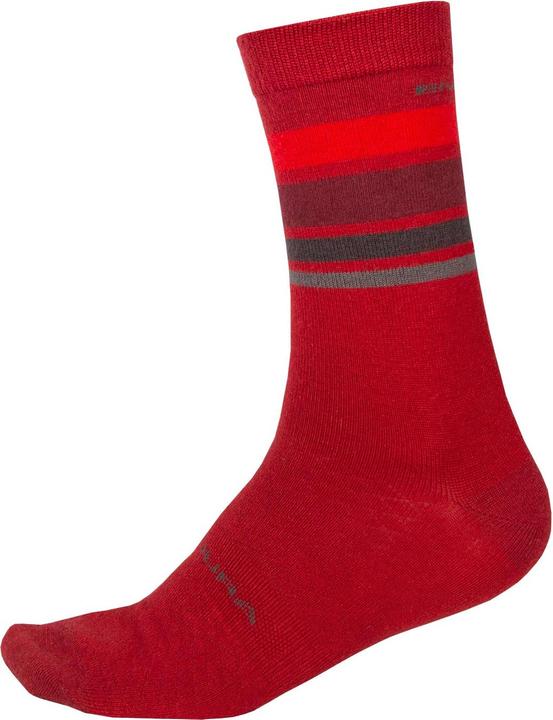 Rot