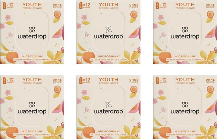 Actual product image Waterdrop Microdrink Youth (Peach, Ginger, 1 x)