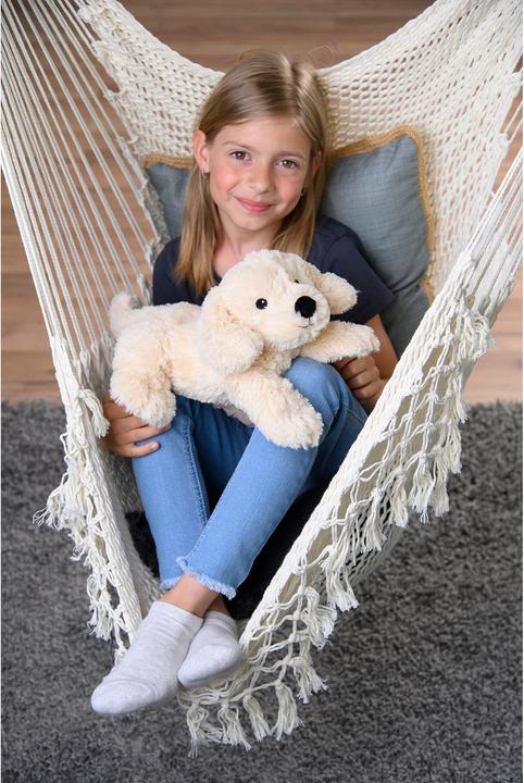 Actual product image Warmies Golden Retriever (33 cm)