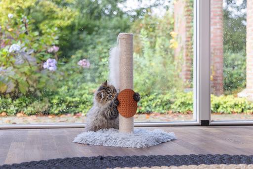Image du produit Beeztees Pflegehandschuh (Chat)