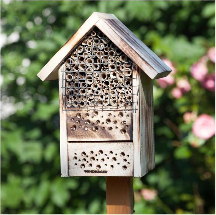 Image du produit Windhager A la poste (Abeilles sauvages)