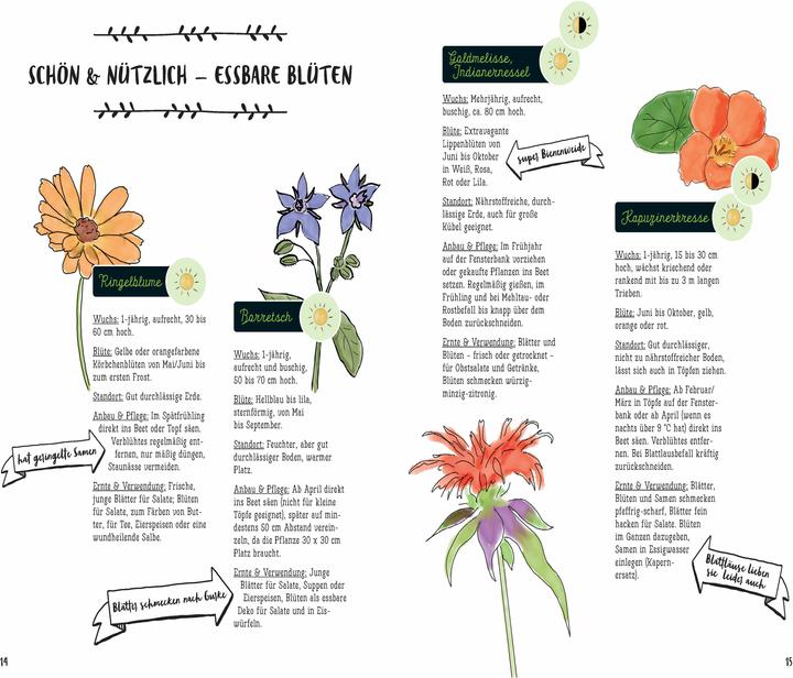Produktbild Mein Kräuter-Jahr - Das informative Bullet Journal - Monat für Monat (Deutsch, Diana Meier-Soriat, 2025)