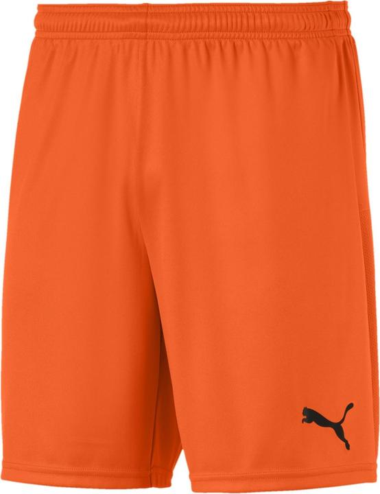 Image du produit Puma teamGOAL 23 knit Short-704262 (S)
