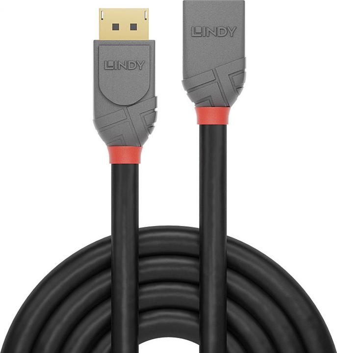 Actual product image Lindy DisplayPort — DisplayPort (0.50 m, DisplayPort)