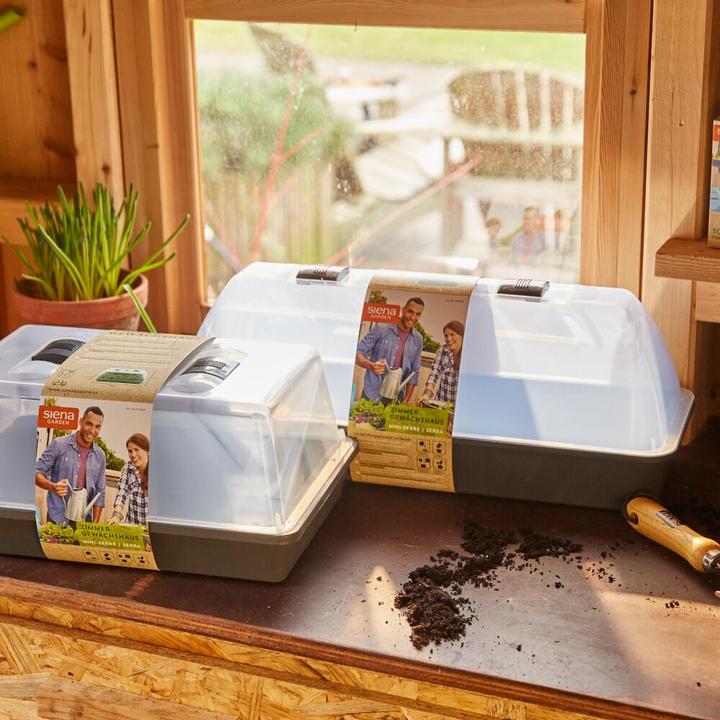 Image du produit Siena Garden couveuse