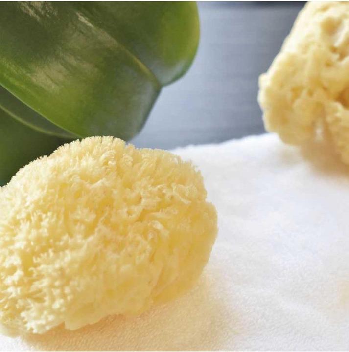 Produktbild Beter Small Natural Sea Sponge Natürlicher Seeschwamm.