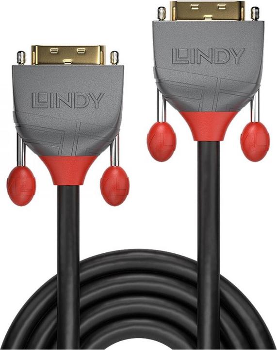 Actual product image Lindy Dvi — Dvi (0.50 m, DVI)