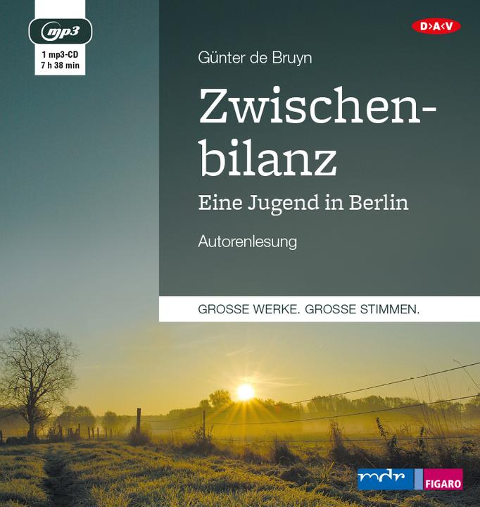 Image du produit Bilan intermédiaire (Guenter de Bruyn, Allemand)