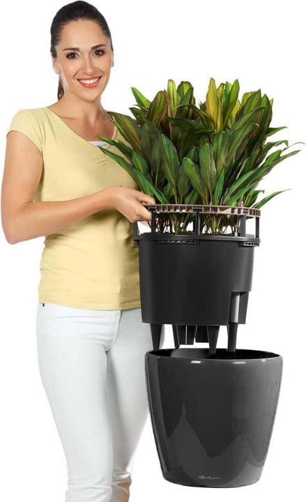 Produktbild Lechuza Classico (28.50 cm)