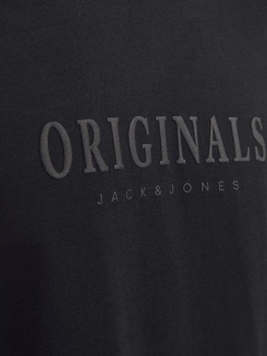 Actual product image Jack & Jones Jorfrederiksberg Tee Ss Crew Neck Noos (XL)