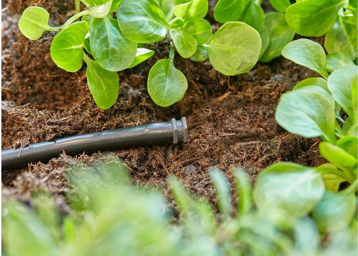 Actual product image Gardena Sealing plug 4.6 mm (Drip irrigation connector + branch)