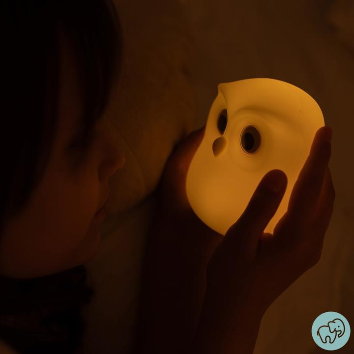 Actual product image Ecolight Lampe Eule