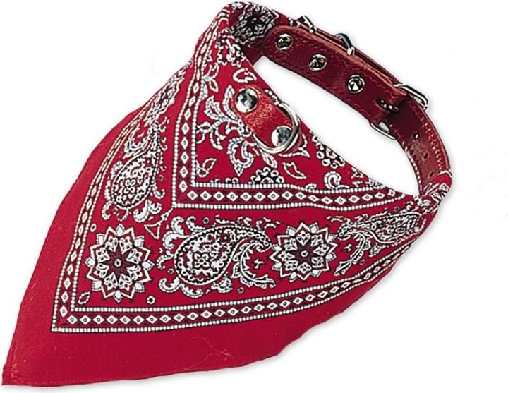 Actual product image Nobby Collar with cloth (Dog)