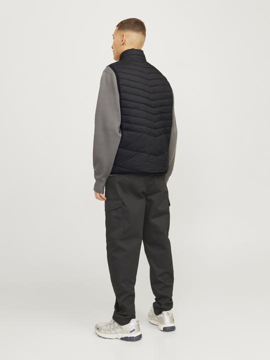 Actual product image Jack & Jones Jjestate Packable Bw Collar Noos (L)
